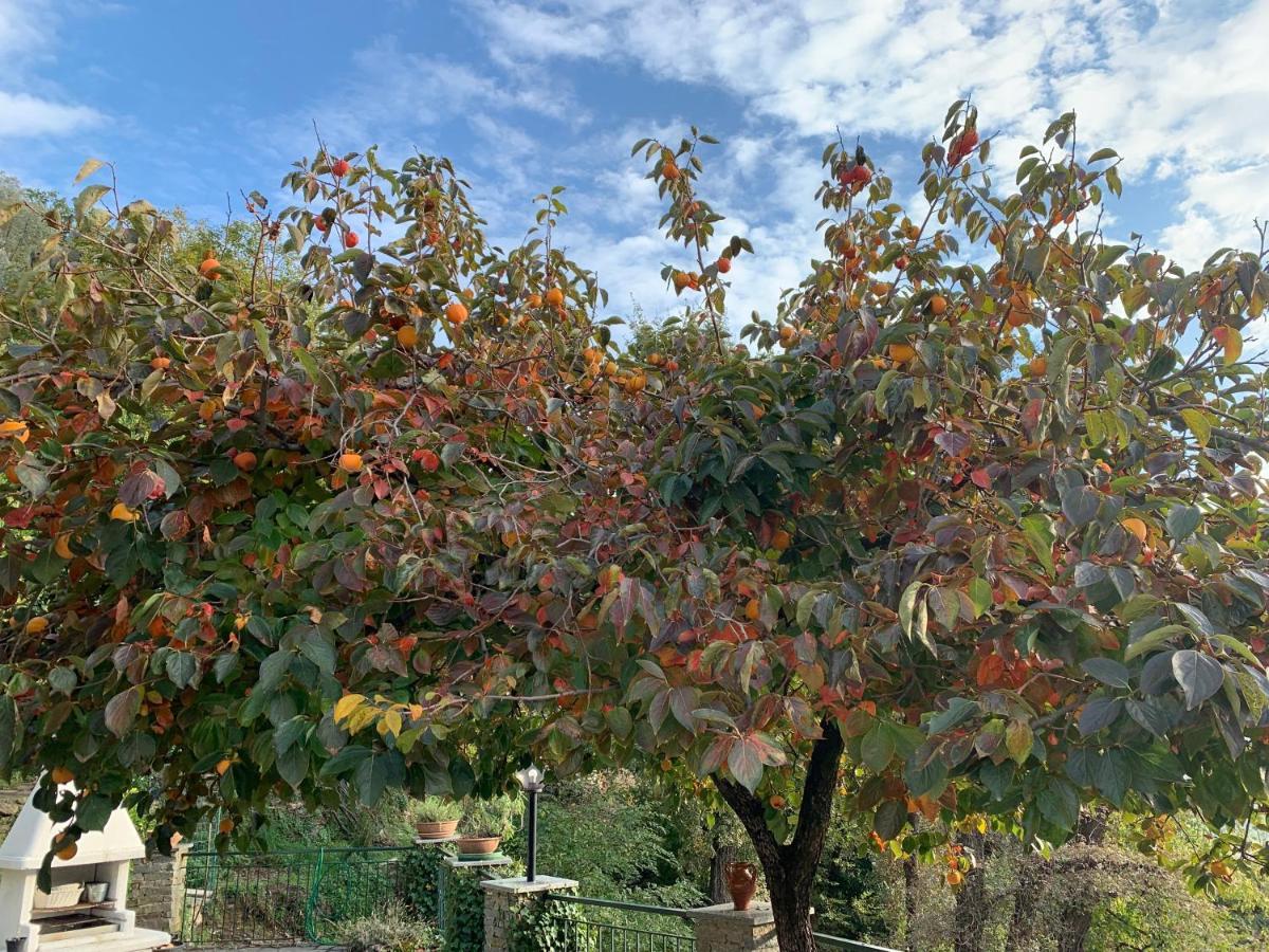 הוילה Salto Chiesa Il Giardino Di Piero - Lt-0029 מראה חיצוני תמונה