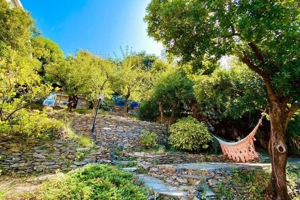 הוילה Salto Chiesa Il Giardino Di Piero - Lt-0029 מראה חיצוני תמונה