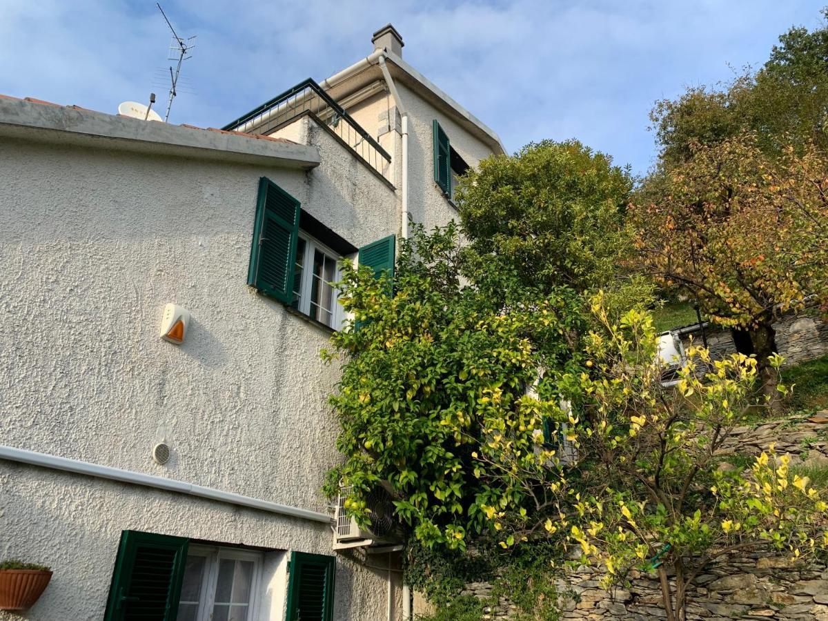 הוילה Salto Chiesa Il Giardino Di Piero - Lt-0029 מראה חיצוני תמונה